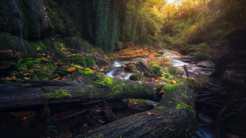 Il canyon incantato non è in Amazzonia né in Asia: si trova in Abruzzo e custodisce un segreto naturale