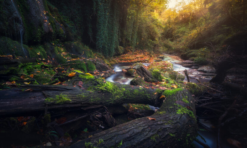 Il canyon incantato non è in Amazzonia né in Asia: si trova in Abruzzo e custodisce un segreto naturale